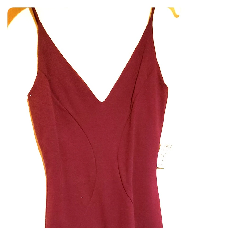 Just In! NWT! Burgundy Windsor dress